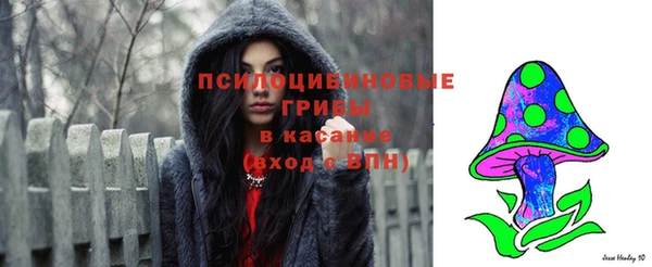 стаф Рославль