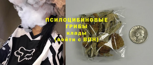 индика Протвино