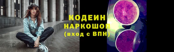 индика Протвино