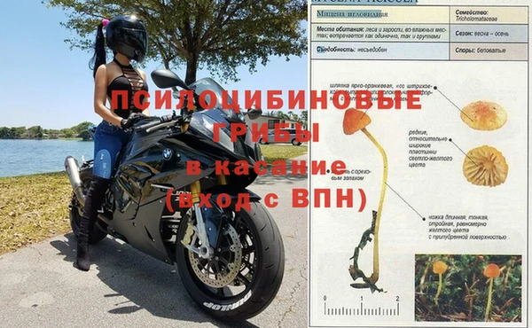 хмурый Абдулино