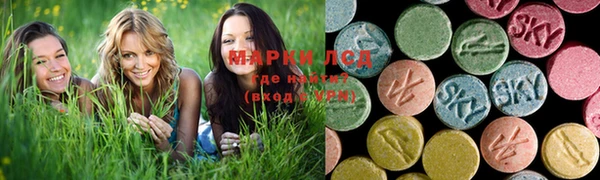 стафф Абинск